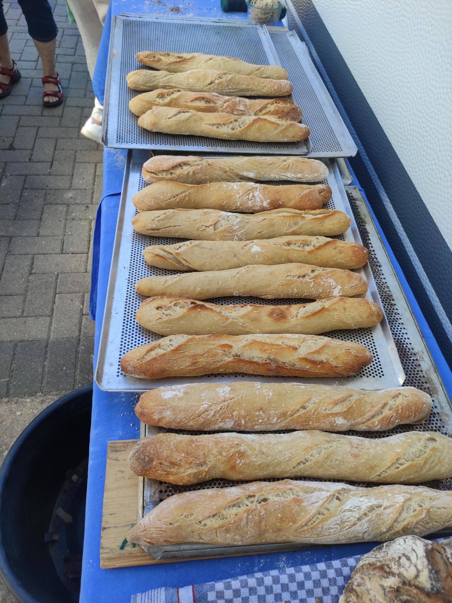 Frisch gebackene Baguettes des Backesvereins