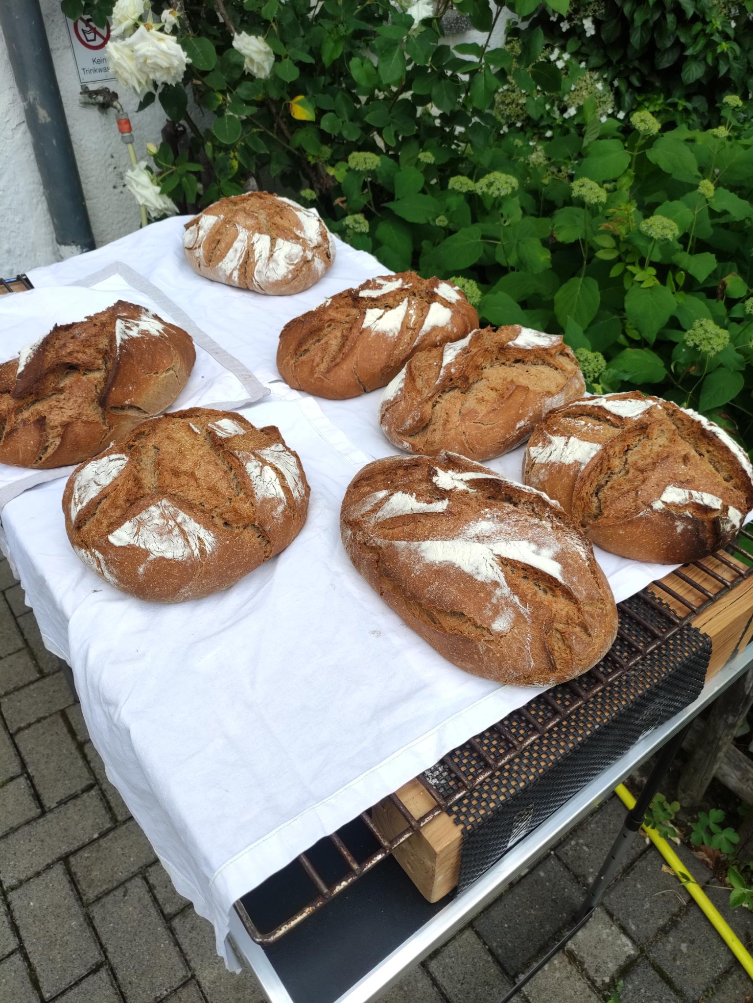 Frisch gebackene Brote